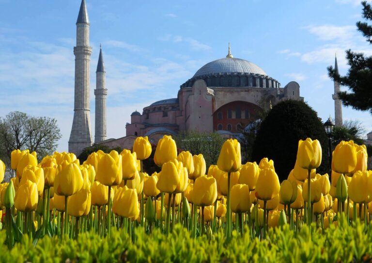 Lale Festivali ve Emirgan Parkı